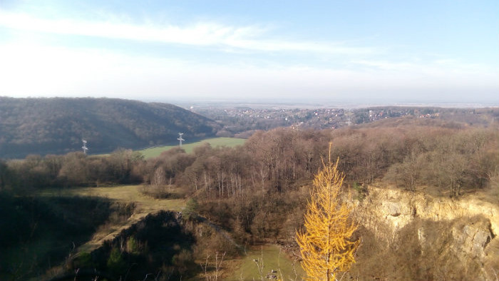 04.jpg