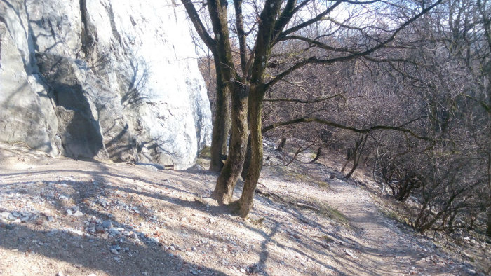 09.jpg