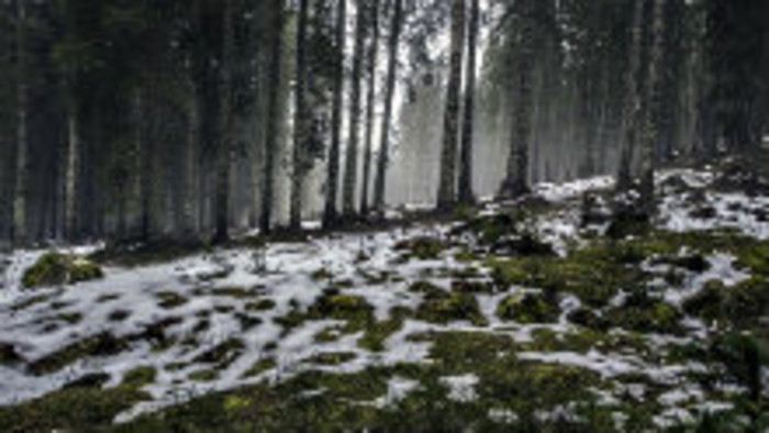 Krízové situácie – 4. časť 