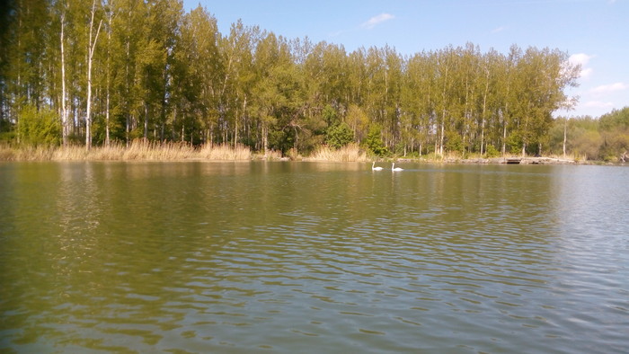 05.jpg