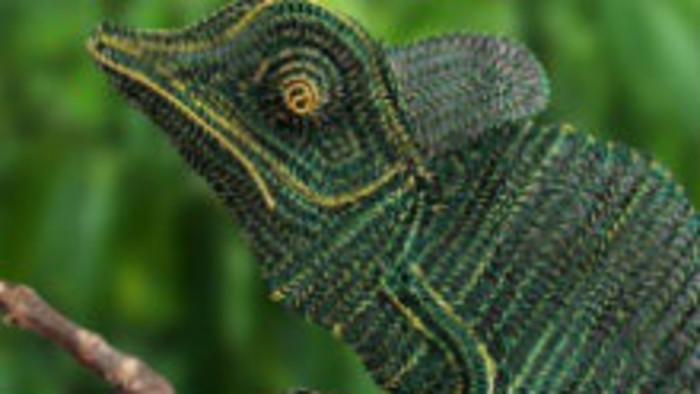 Zoologická záhrada z drôtu