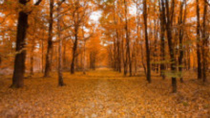 Rádiovíkend 25. 11. 2017 - pozvánky