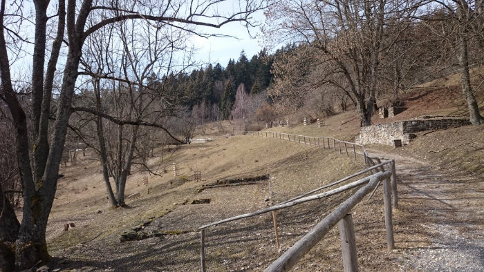 DSC_0230.JPG