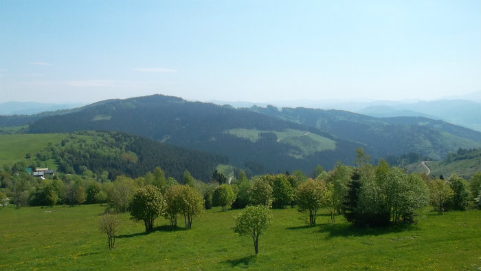 16.JPG