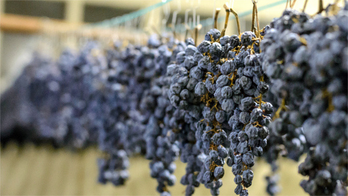 Slowakische Winzer melden gute Weinlese 