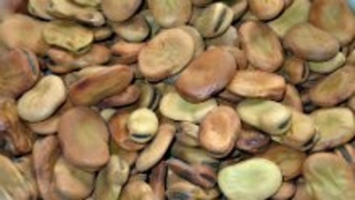 Bôbová kaša
