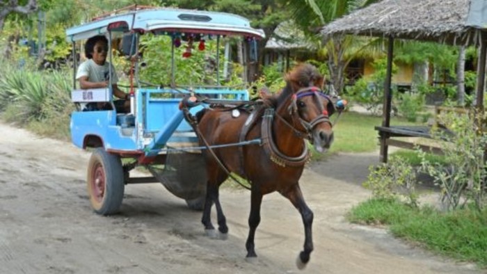 Gili-Air9-512x376.jpg