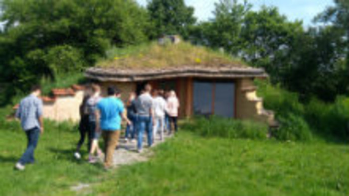 sosna 3.jpg