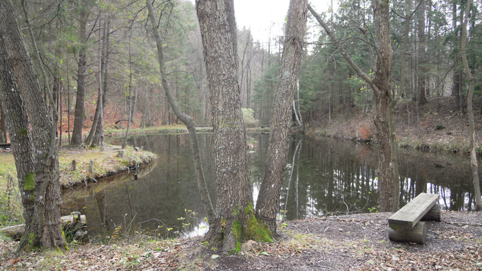 DSCN8996.JPG