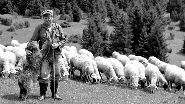 Na šumiackom salaši s Mikulášom Gigacom