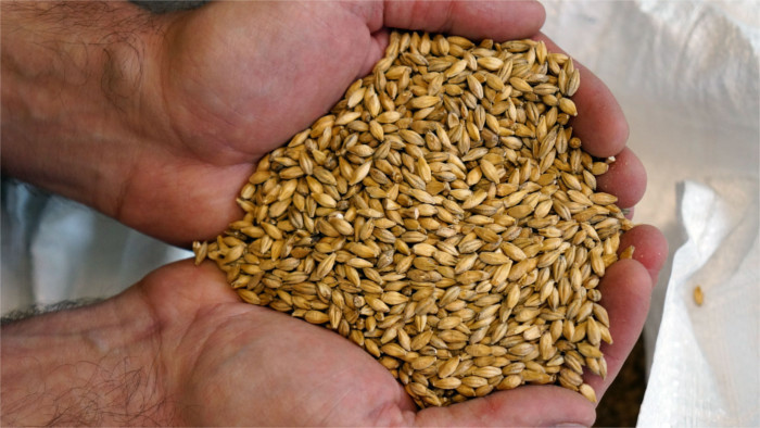 EU bans imports of 4 Ukrainian farm products to 5 countries, including Slovakia