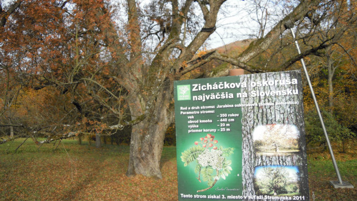 Snímka 2.JPG