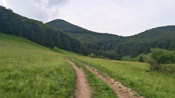 IMG_20180608_102742.jpg