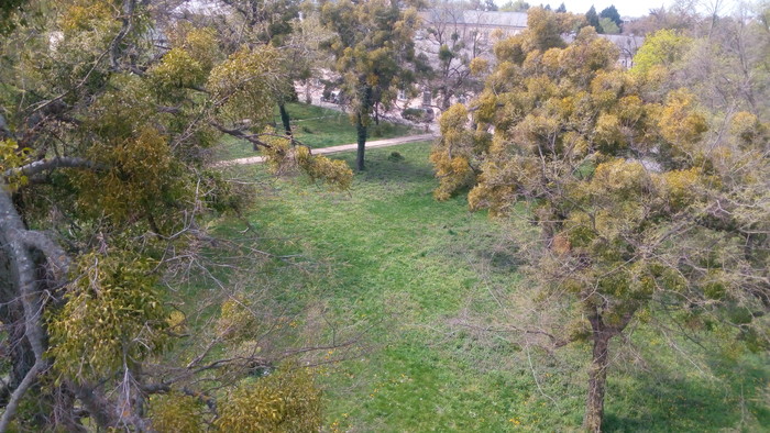 Park pri kaštieli, fotené z vodnej veže1.jpg