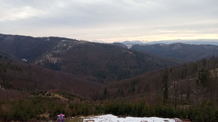 IMG_20191217_120117.jpg