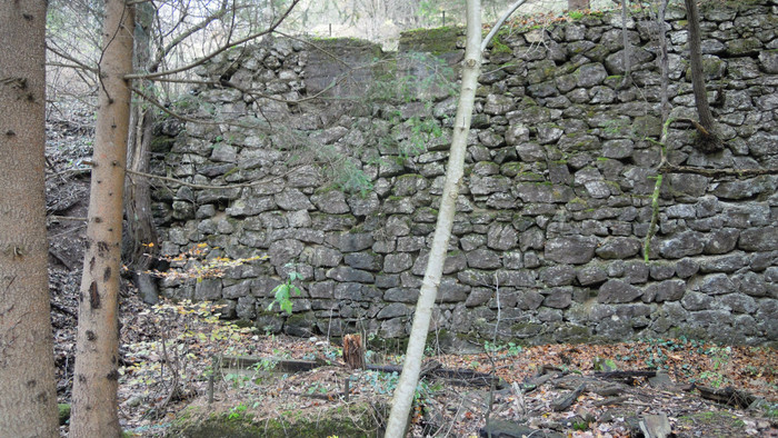 DSCN8997.JPG