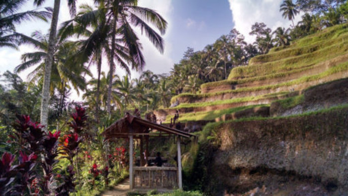 Bali-holidays10-512x288.jpg