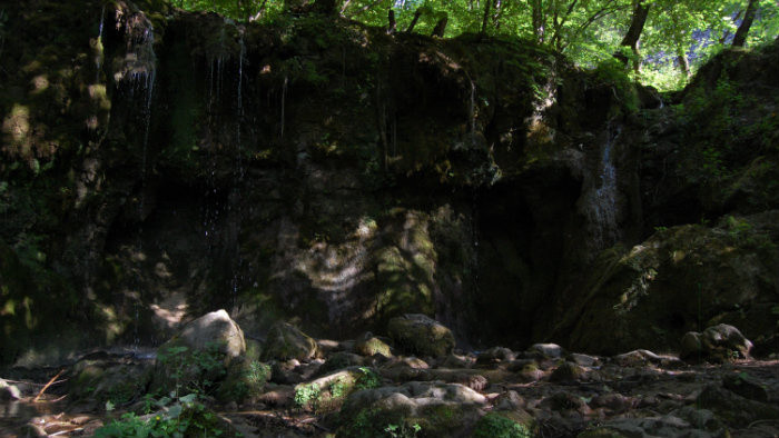 DSC_4049.JPG