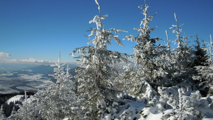 DSCN4509.JPG