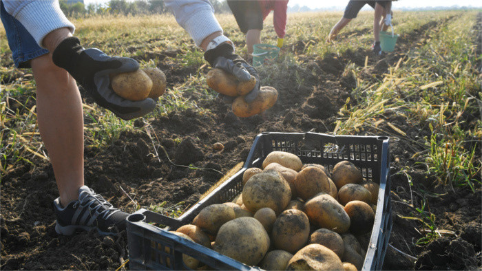 Projekt „Soziale Landwirtschaft“ startet in der Slowakei