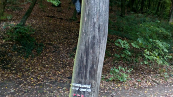 09.jpg