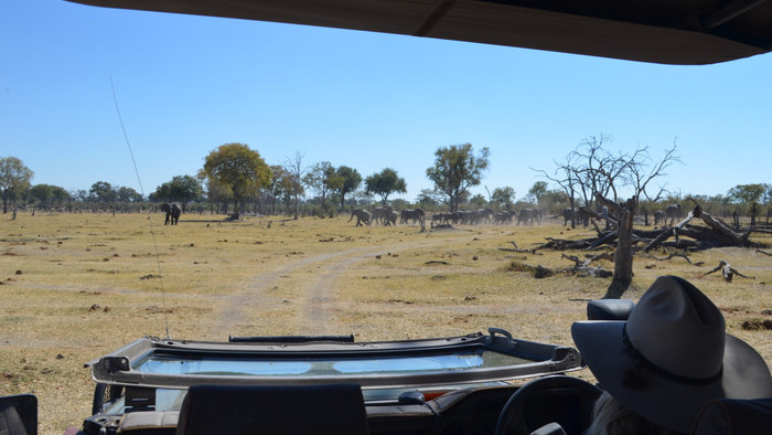 1-safari.JPG