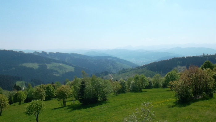 15.JPG