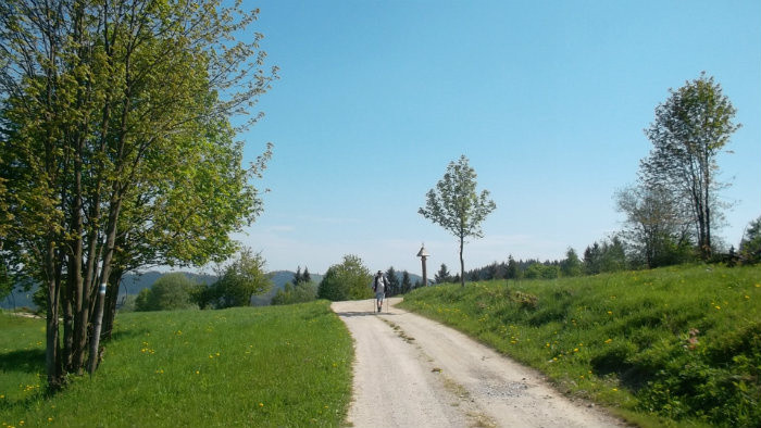 06.JPG