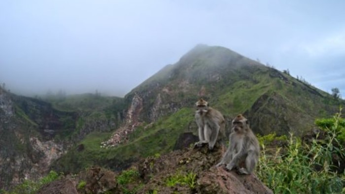 Batur-6-512x340.jpg