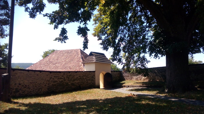 05.jpg