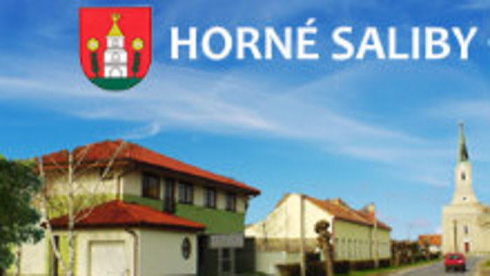 Kultúra v Horných Salibách