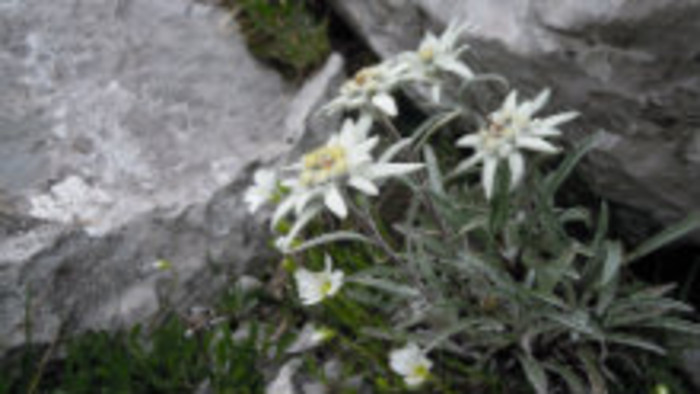 Rádiovíkend 8. 7 2017 - pozvánky