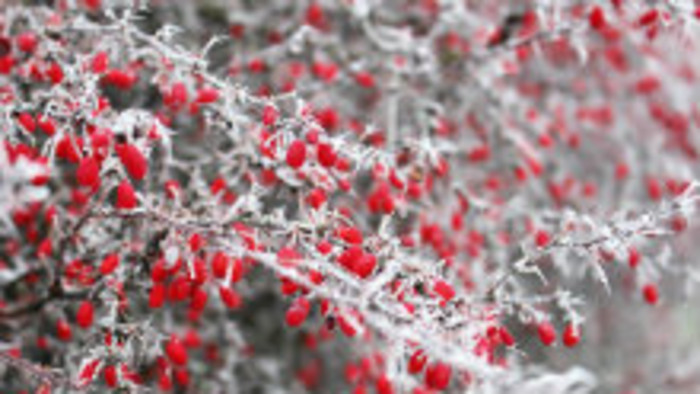 Rádiovíkend 7. 12. 2019 - pozvánky