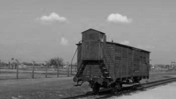 Nútené pracovné tábory (1950-1955)
