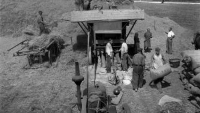 Akcia Kulaci (1951-1953)