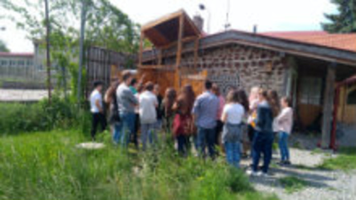 sosna 5.jpg