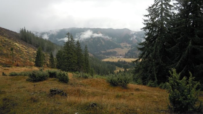 Na sedle Črchľa v Nízkych Tatrách