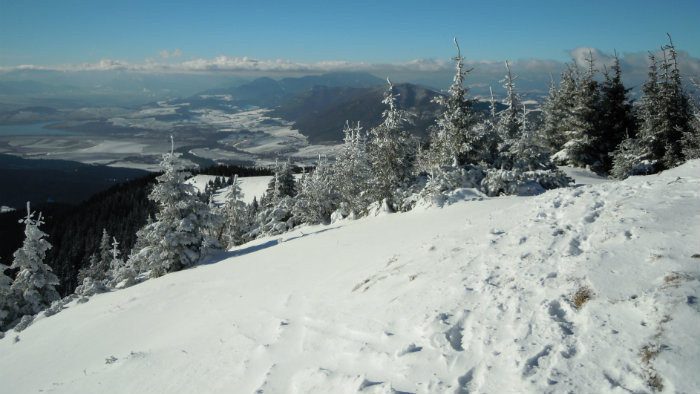 DSCN4506.JPG