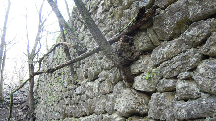 DSCN8998.JPG