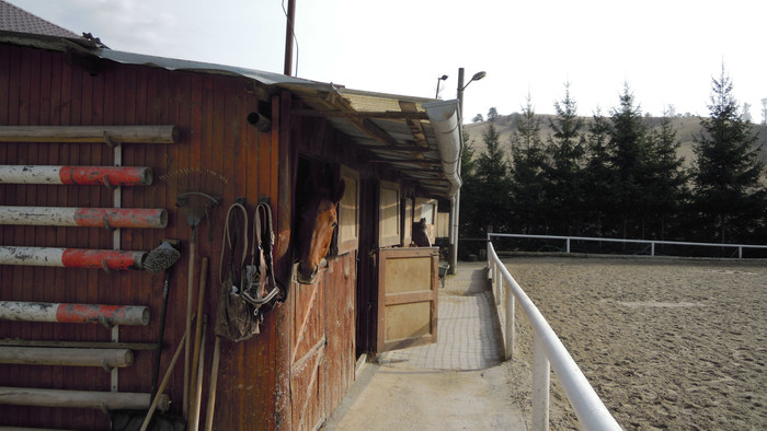 Pri koníkoch v Kocuranoch