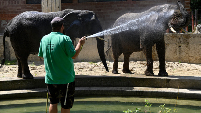 Zvieratá v bojnickej zoo dostávajú špeciálne nanuky 