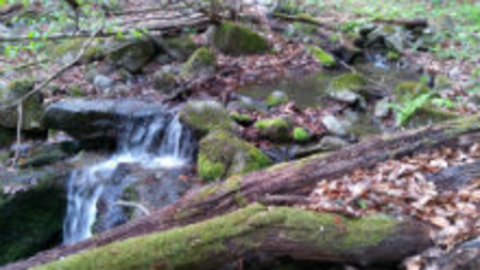 Popri potoku nad Kotmanovou 