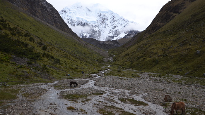 DSC_0194.JPG