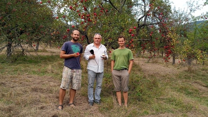 001_obst-nova-bosaca Kay Zeisberg.jpg