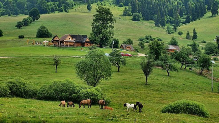 salaszbojska3.jpg