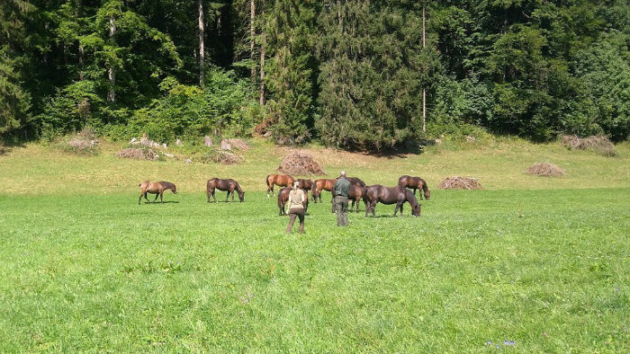 Muránska planina