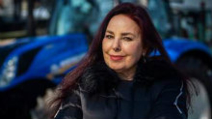 K veci: Talianská mafia 