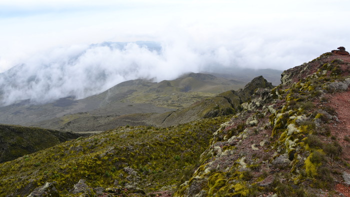 Mt Cameroon 5.JPG