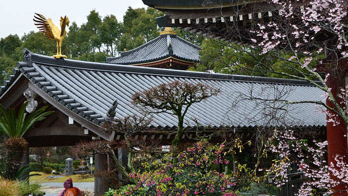 DSC_6662.jpg