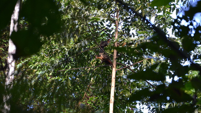 DSC_0415.JPG